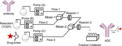 使用連續(xù)流微反應(yīng)器技術(shù)合成抗體-藥物偶聯(lián)物