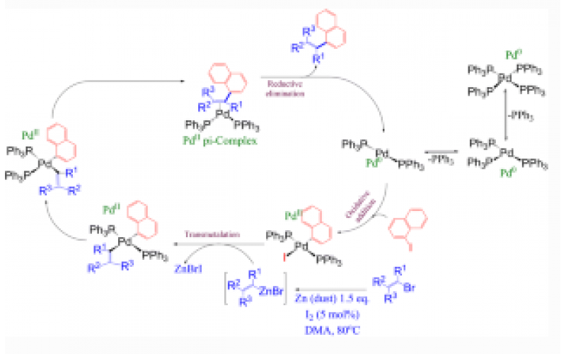 有機(jī)鋅試劑在連續(xù)流化學(xué)中的應(yīng)用：根岸耦合