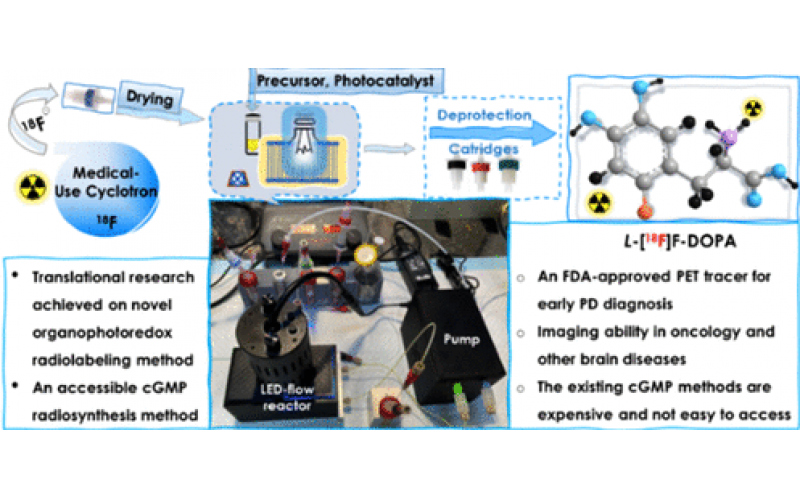 通過流動化學(xué)增強光氧化還原放射性氟化法制造6-[18F]Fluoro-L-DOPA