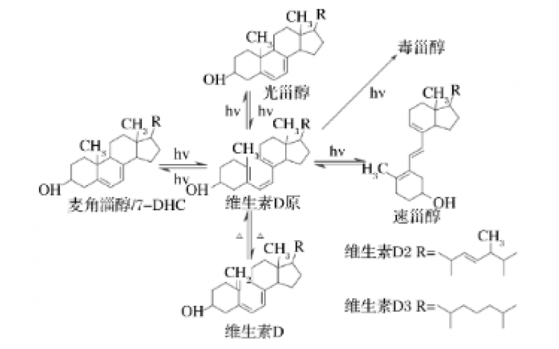 光化學(xué)合成維生素D